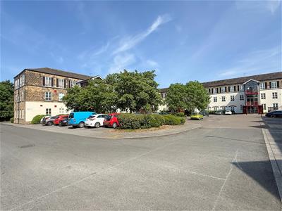 Picture 21